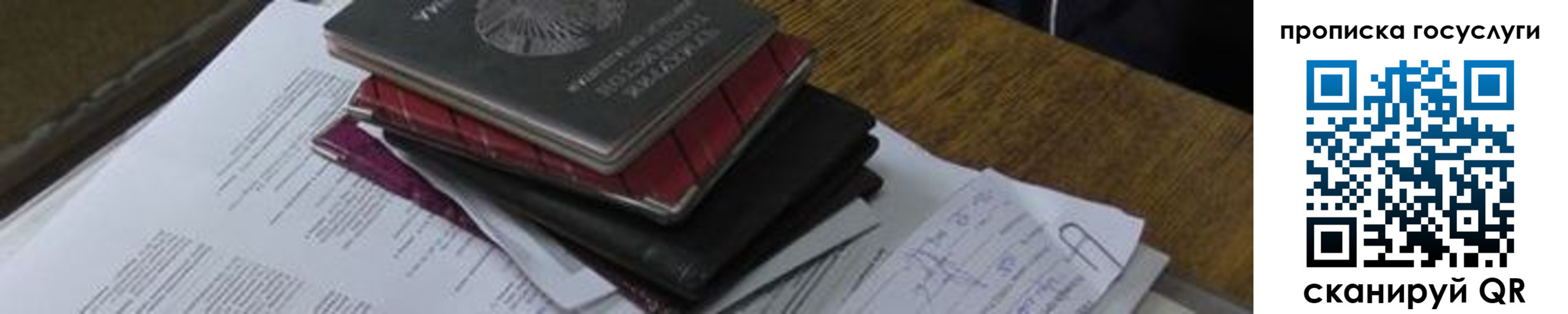 регистрация в Курской области